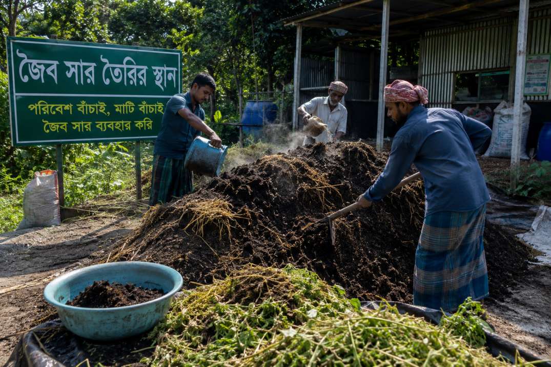 জৈব সারের ব্যবহার বাড়ছে, রাসায়নিক সারের ব্যবহার কমছে