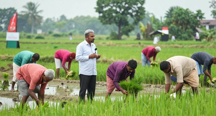 কৃষি প্রশিক্ষণ ও ওয়ার্কশপ
